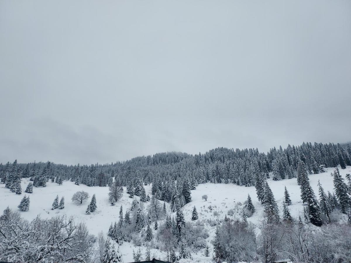 Casa Elena Hotell Ceahlău Eksteriør bilde